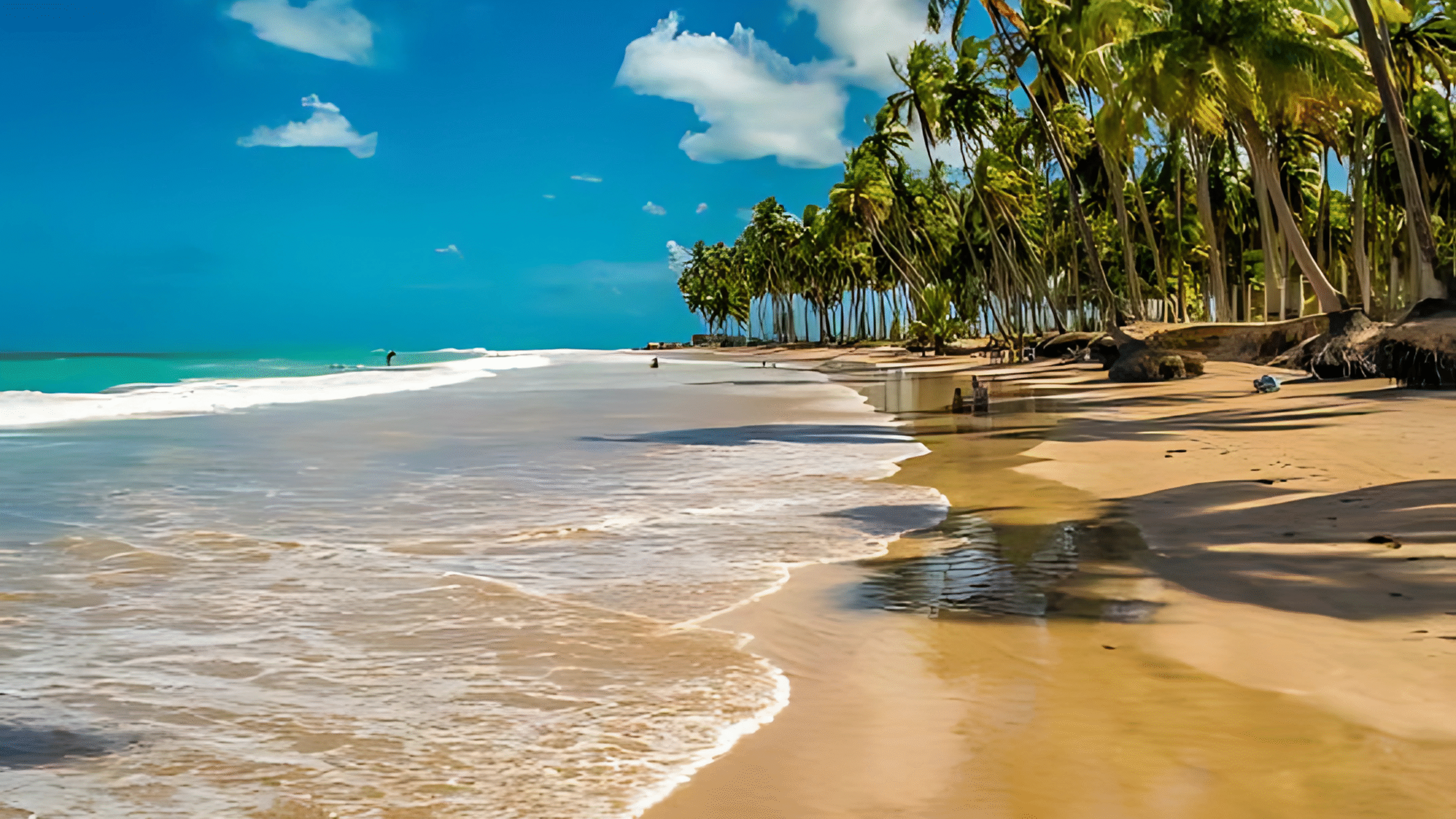 Praia de Tamandaré